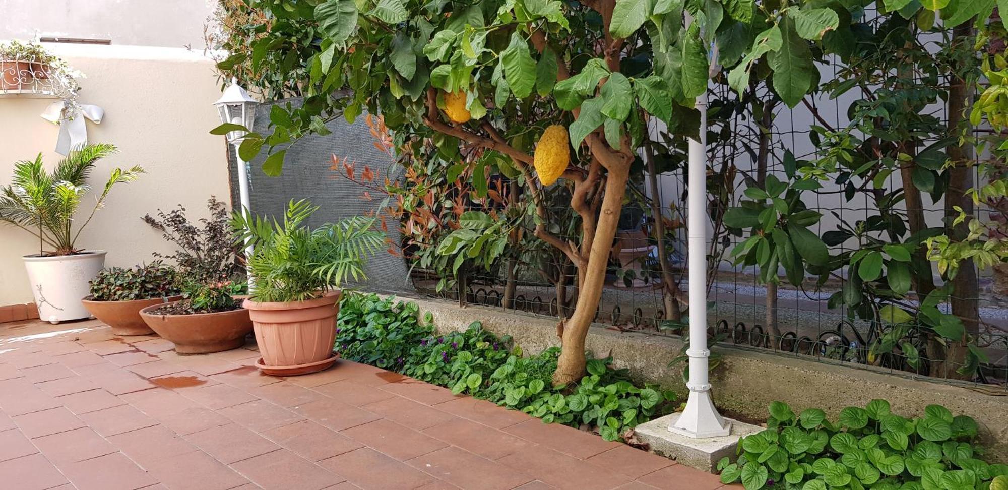 מלון פיזה Casale Cisanello חדר תמונה